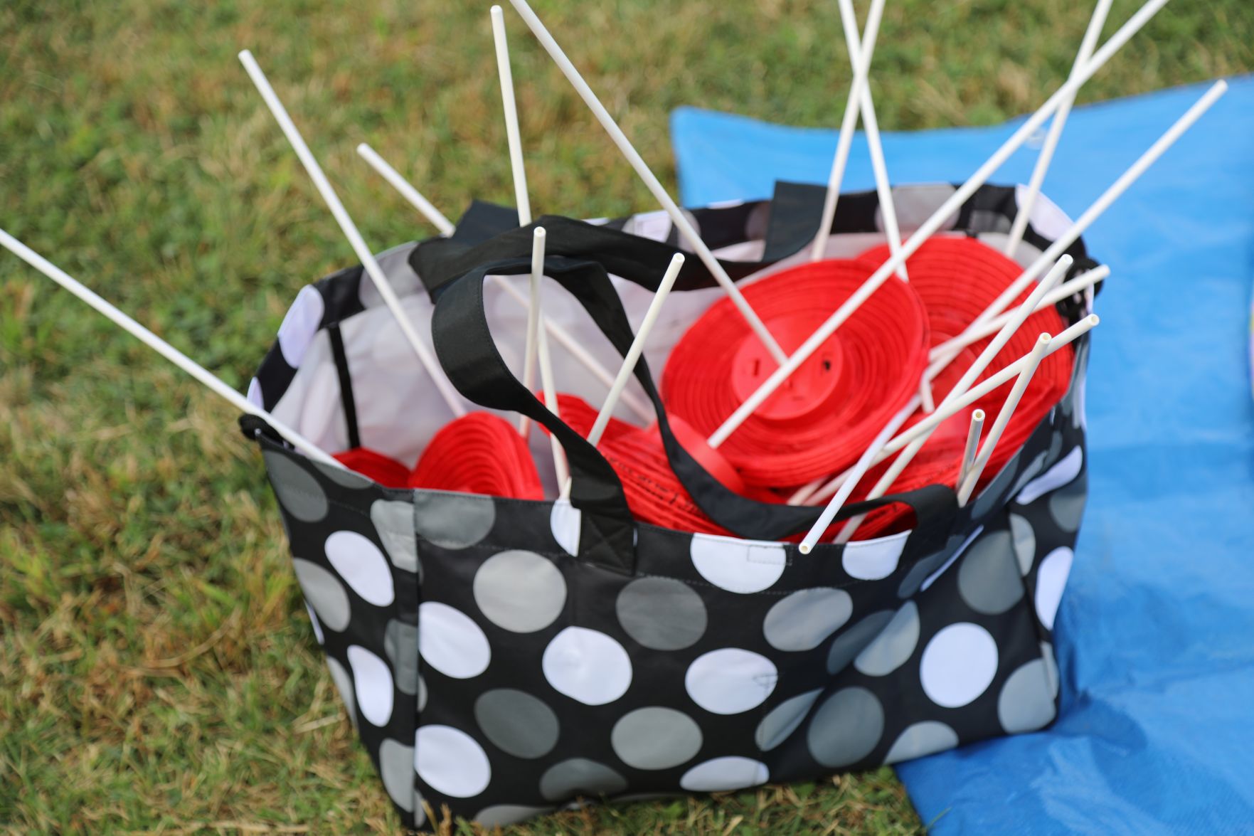 2019-Glennon-Gallop-013.JPG